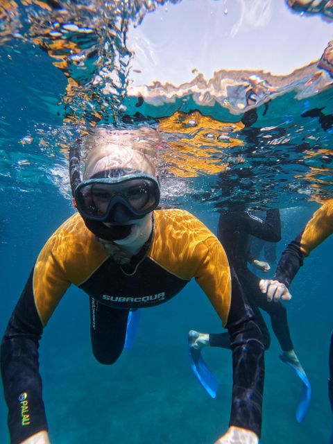 Tenerife: Puerto Colon Snorkel Safari by Speed Boat - Price and value: what you get for about $53