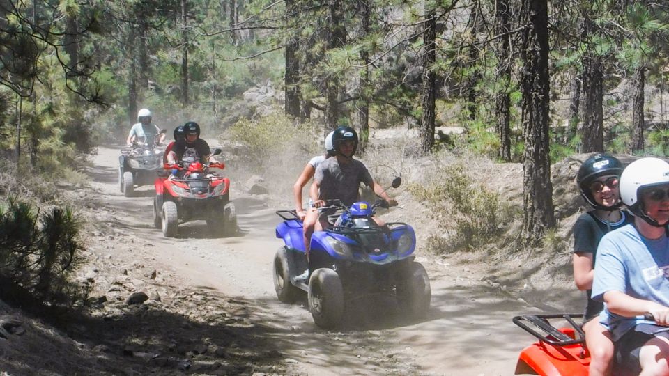 Tenerife: Quad Adventure Tour in Teide National Park - Price and Value: Is $94 Worth It for Teide by Quad?