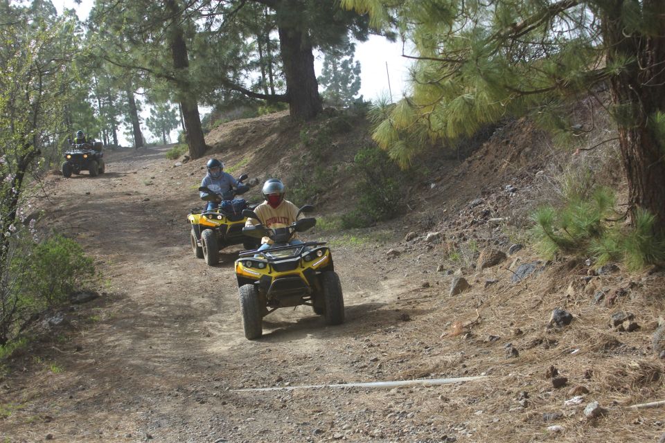 Tenerife: Quad Bike Off-Road Adventure - Off-road driving style: dirt paths, guidance, and that adrenaline hit
