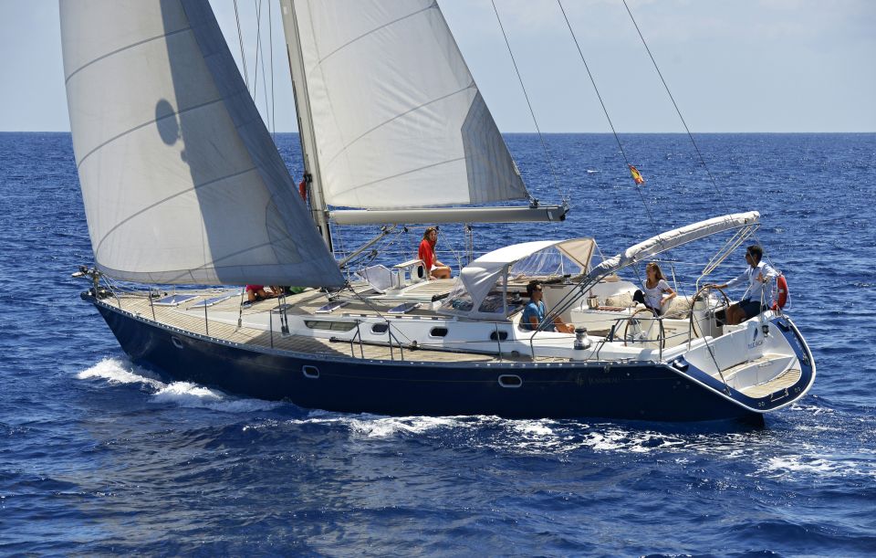 Tenerife: Sailing Excursion with Whale and Dolphin Watching - Key Things I’d Tell Friends Before You Go