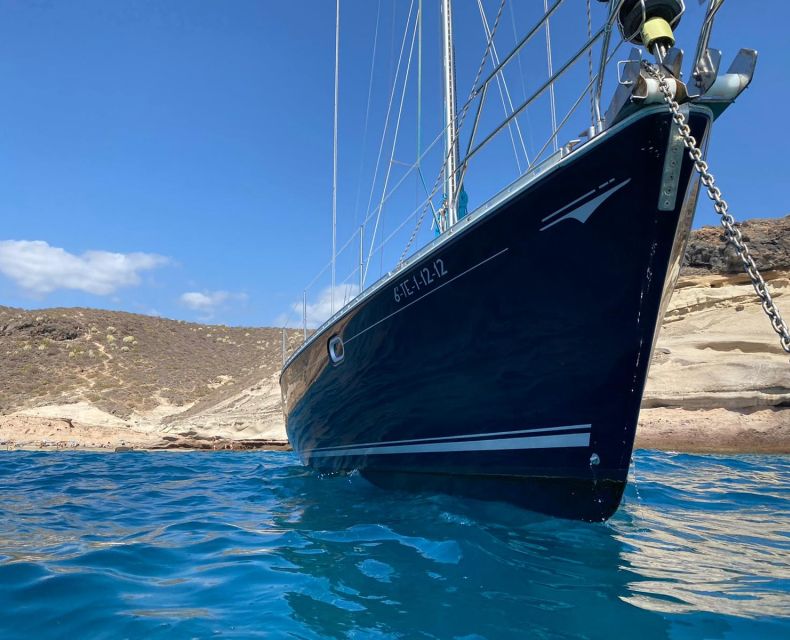 Tenerife: Sailing Excursion with Whale and Dolphin Watching - What About Motion Sickness and Wind?
