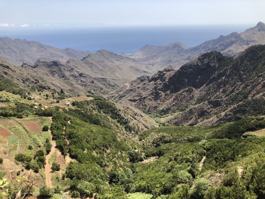 Tenerife: Santa Cruz, La Laguna and Anaga Tour - Anaga Rural Park: Mirador de la Jardina and Cruz del Carmen