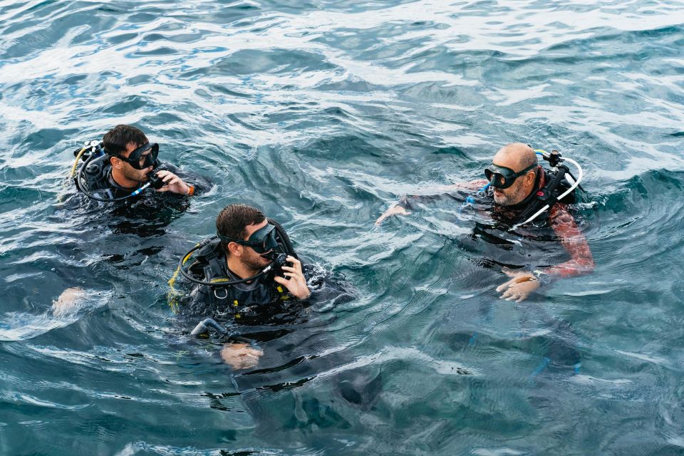 Tenerife: Scuba Diving Experience with Instructor and Gear - Key highlights that make this Tenerife scuba session worth it