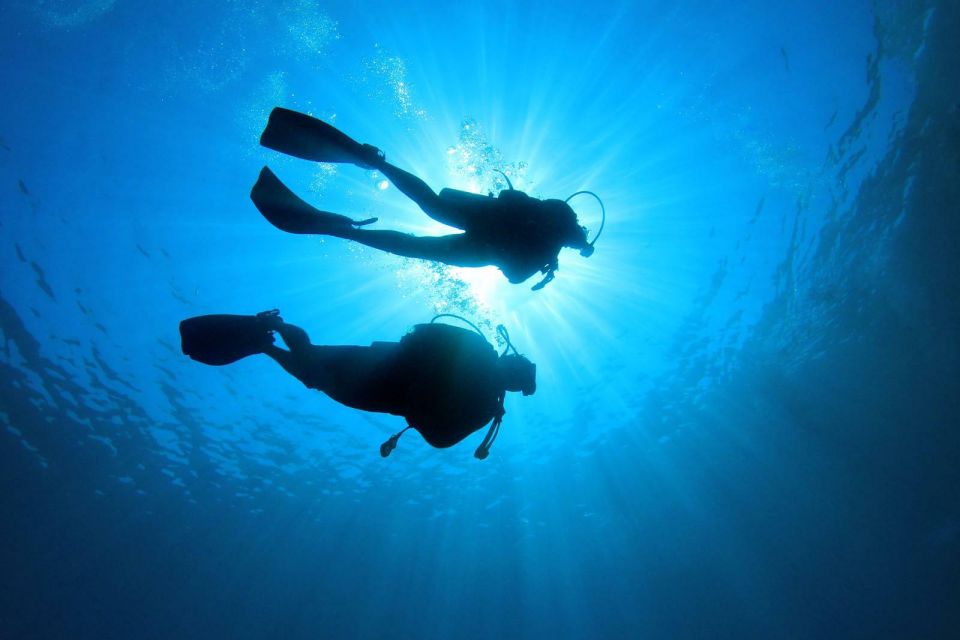 Tenerife: Scuba Diving Experience with Instructor and Gear - Meeting at La Caleta de Adeje: where the calm starts
