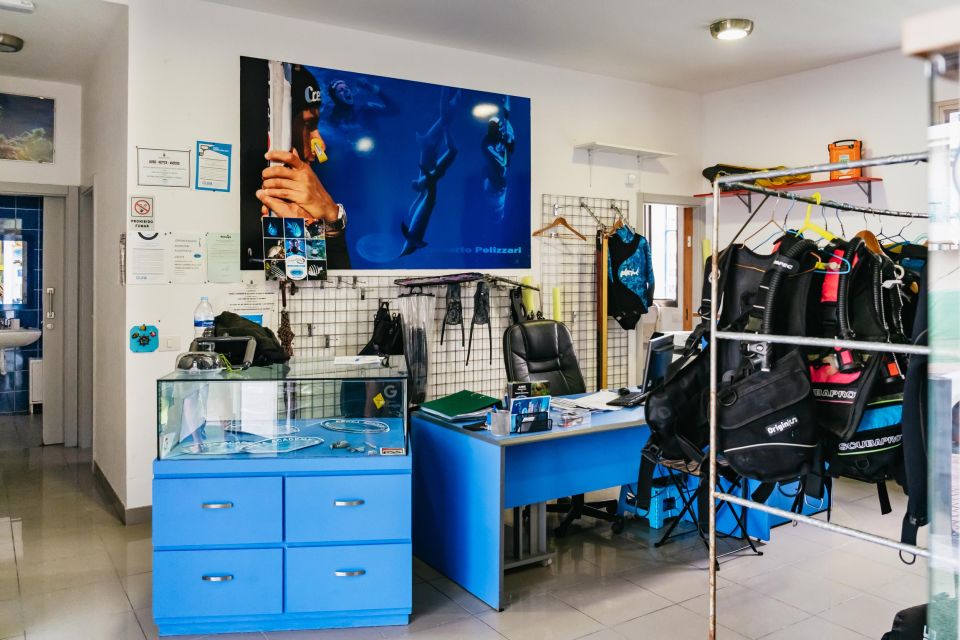 Tenerife: Scuba Diving Experience with Instructor and Gear - Underwater in Tenerife’s protected waters: what you’ll actually see