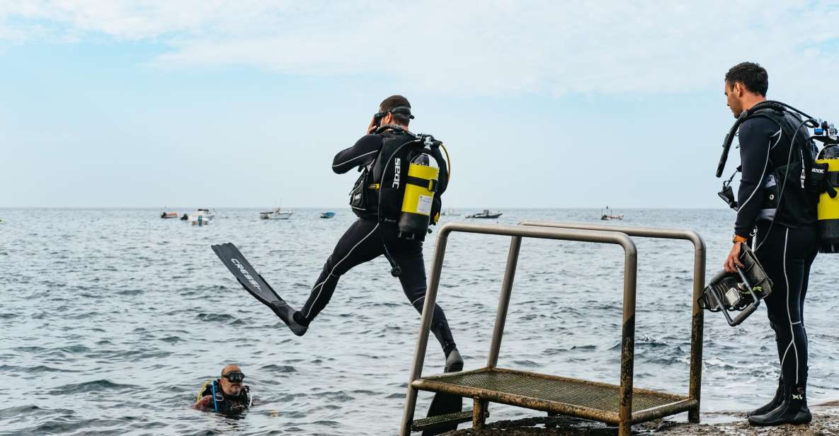 Tenerife: Scuba Diving Experience with Instructor and Gear - Price and value: what $77 includes and why it can be fair