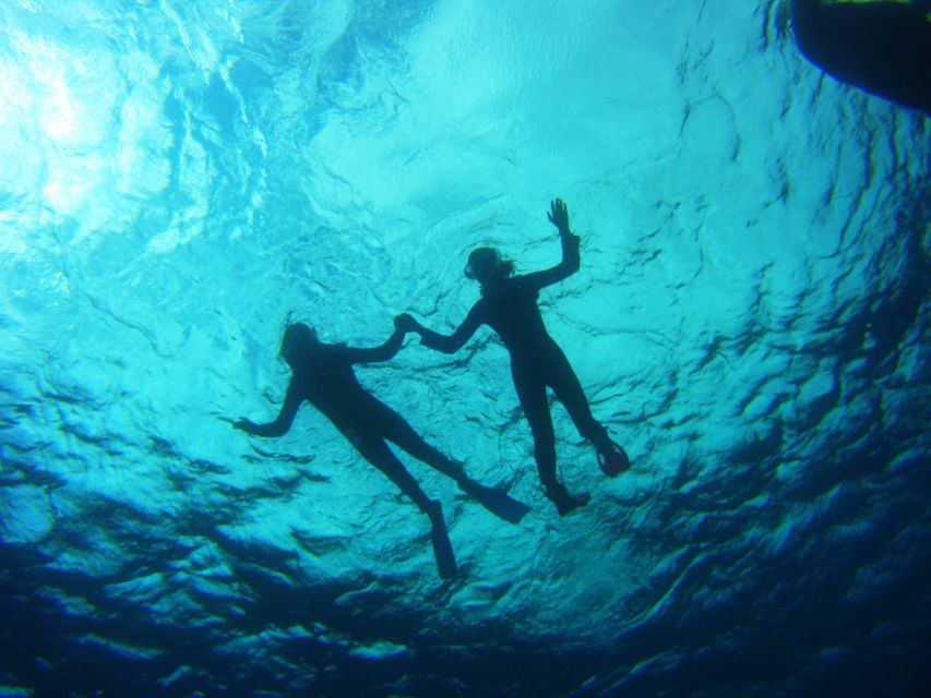 Tenerife: Snorkel with Turtles - Timing that works: a short, focused 2-hour adventure