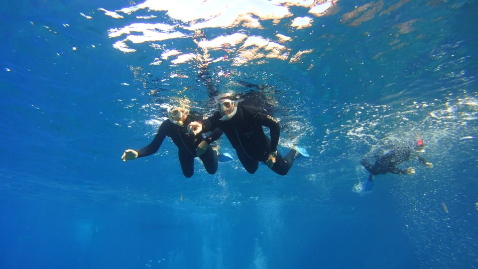Tenerife: Snorkel with Turtles - Small-group feel: less crowding, better animal encounters
