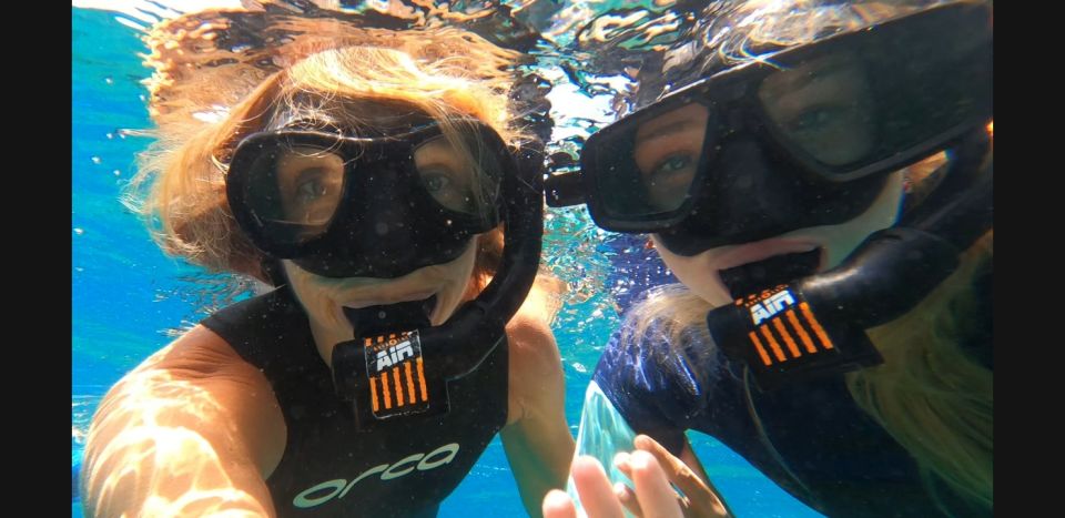 Tenerife: Snorkeling Tour in a Marine Protected Area - Key Points to Know Before You Go