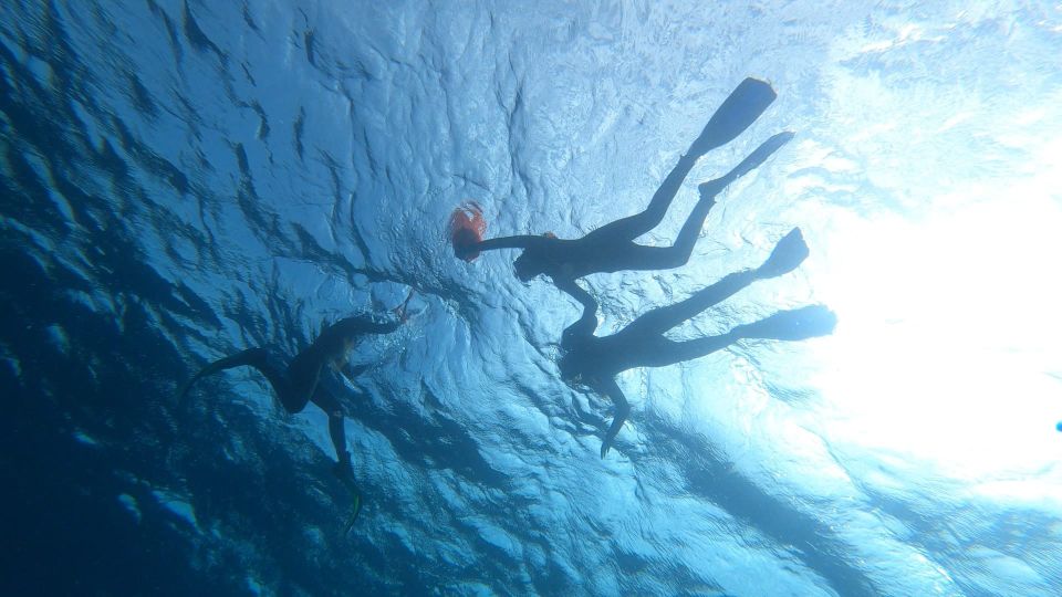Tenerife: Snorkeling Tour in a Marine Protected Area - Rafaella and Ron in the Water: Why Safety Feels Real
