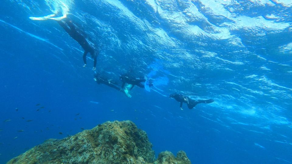 Tenerife: Snorkeling Tour in a Marine Protected Area - Weather and Sea Conditions: How the Day Can Change
