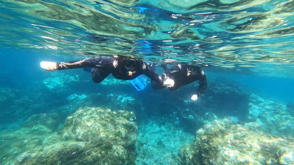 Tenerife: Snorkeling Tour in a Marine Protected Area - What You Actually Do for Those 2 Hours