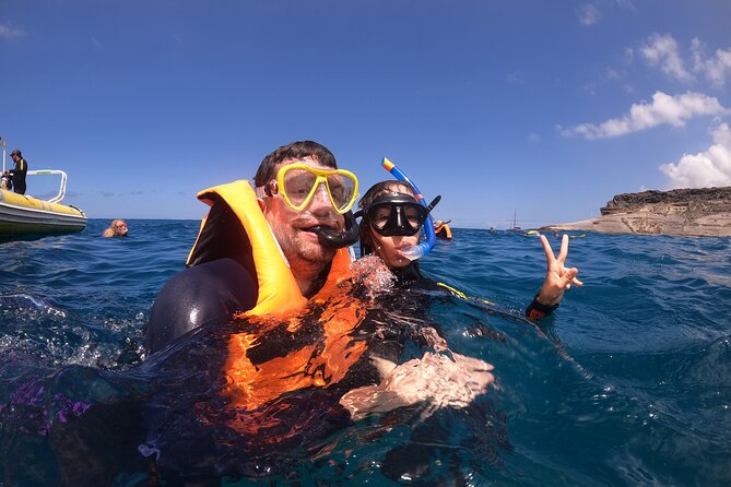 Tenerife Snorkeling Tour in turtle habitat - Speedboat Meets Turtle Habitat: How This Tenerife Snorkel Trip Works