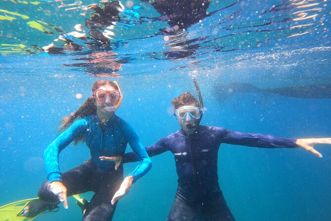 Tenerife Snorkeling Tour in turtle habitat - Price and Value at About $54: What You’re Really Paying For