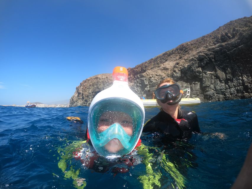 Tenerife: Snorkeling Trip in a Turtle Habitat - Snorkeling time, gear, and the patience factor