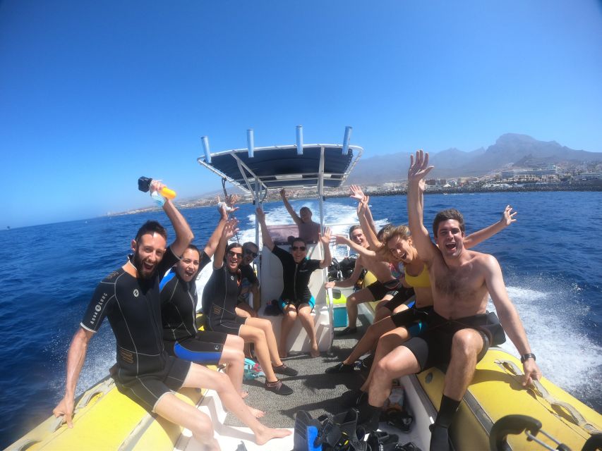 Tenerife: Snorkeling Trip in a Turtle Habitat - What marine life you might see in a turtle habitat