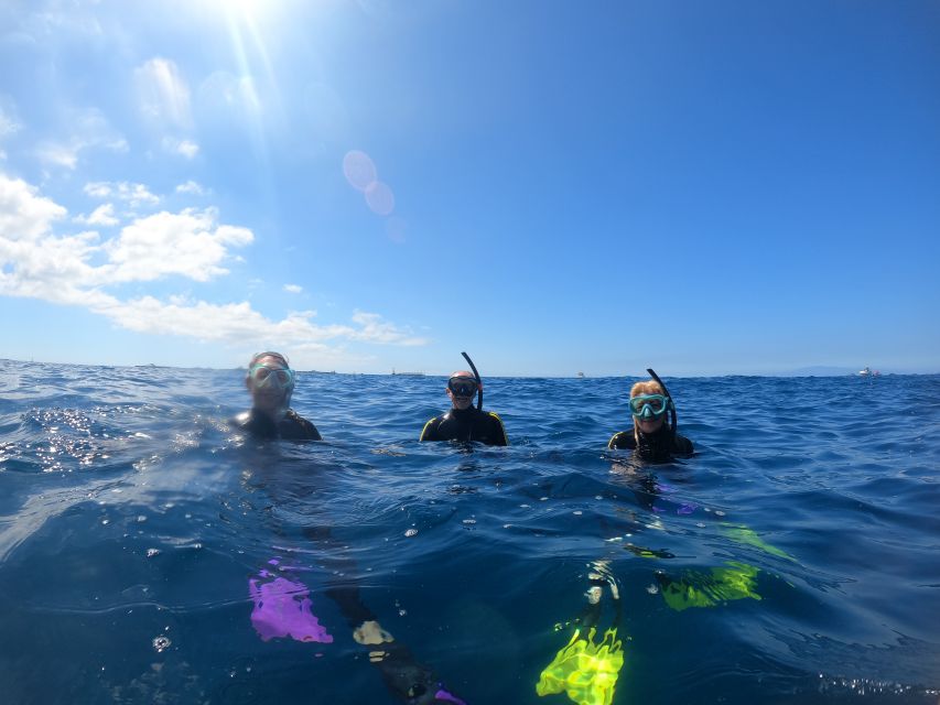 Tenerife: Snorkeling Trip in a Turtle Habitat - Family logistics: kids, nervous swimmers, and photo memories