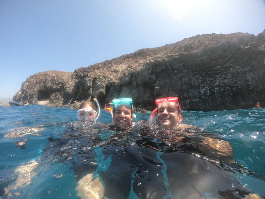 Tenerife: Snorkeling Trip in a Turtle Habitat - Tips to make your snorkeling smoother (and happier)