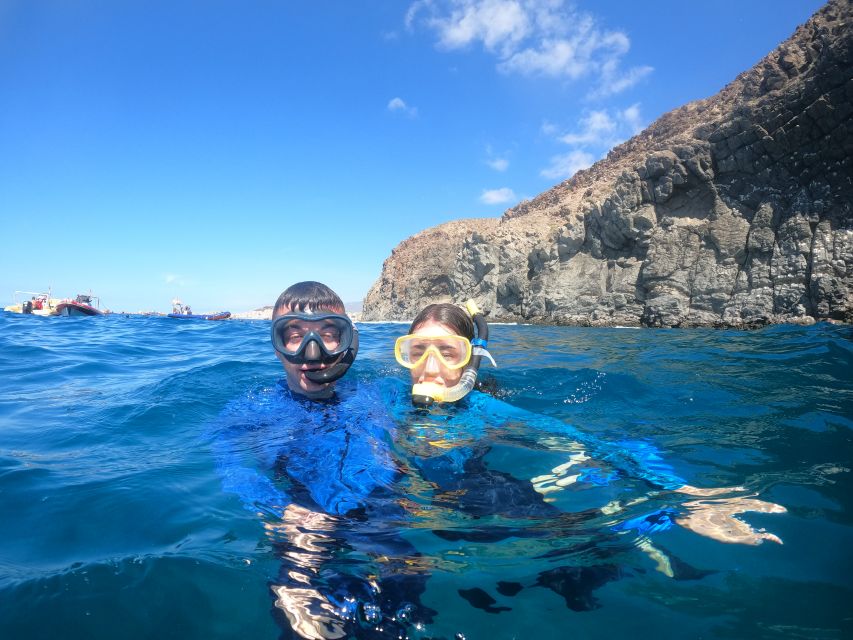 Tenerife: Snorkeling Trip in a Turtle Habitat - Should you book this Tenerife snorkeling trip?