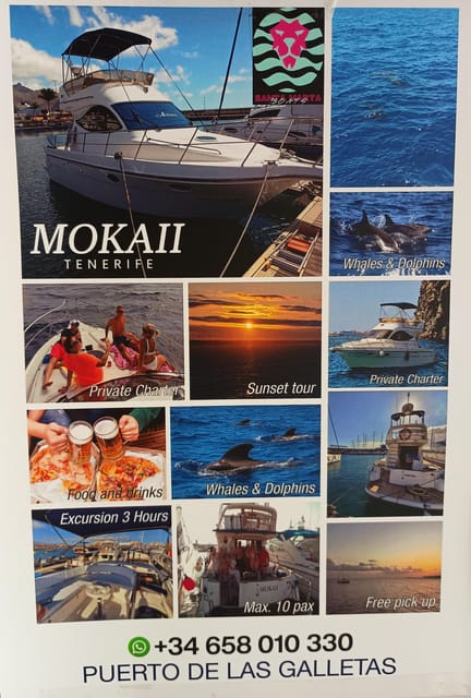 Tenerife south: safari with luxury boat , animals encounters - Key highlights you’ll feel on this Tenerife south safari