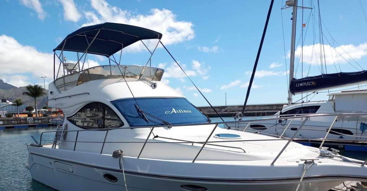 Tenerife south: safari with luxury boat , animals encounters - The 3-hour cruise: what you’re actually doing on the water