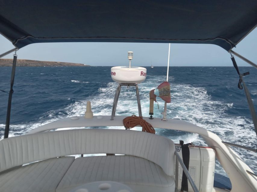 Tenerife south: safari with luxury boat , animals encounters - The halfway swim stop: secluded bays, practical break time