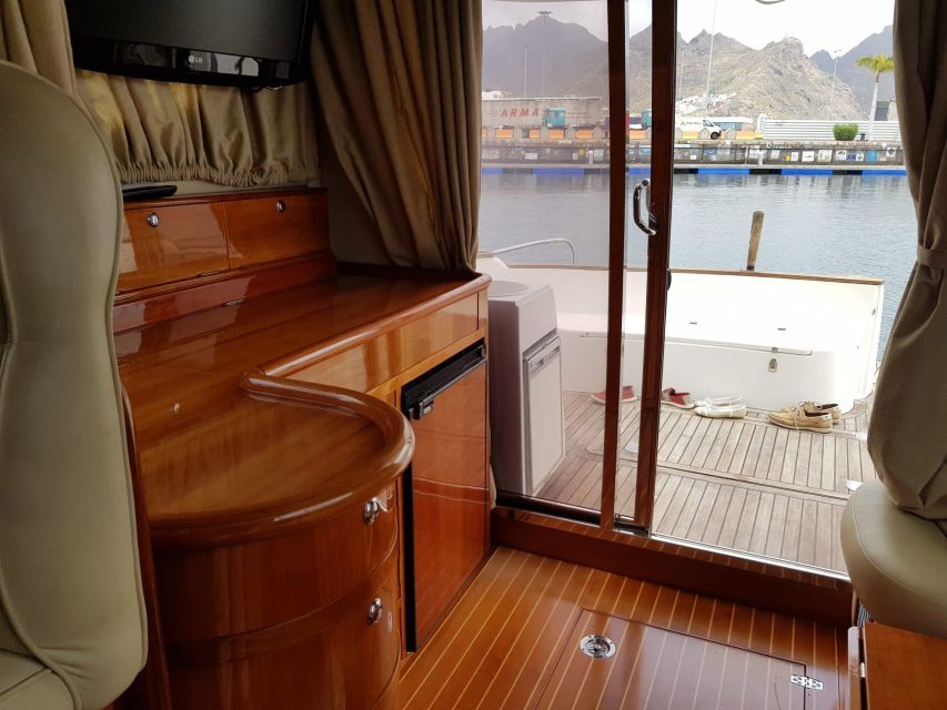 Tenerife south: safari with luxury boat , animals encounters - Who should book this (and who might want a different plan)