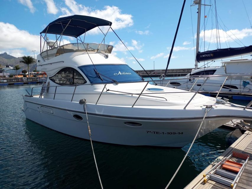 Tenerife south: safari with luxury boat , animals encounters - Getting there: Las Gallets pickup and the van ride before the cruise
