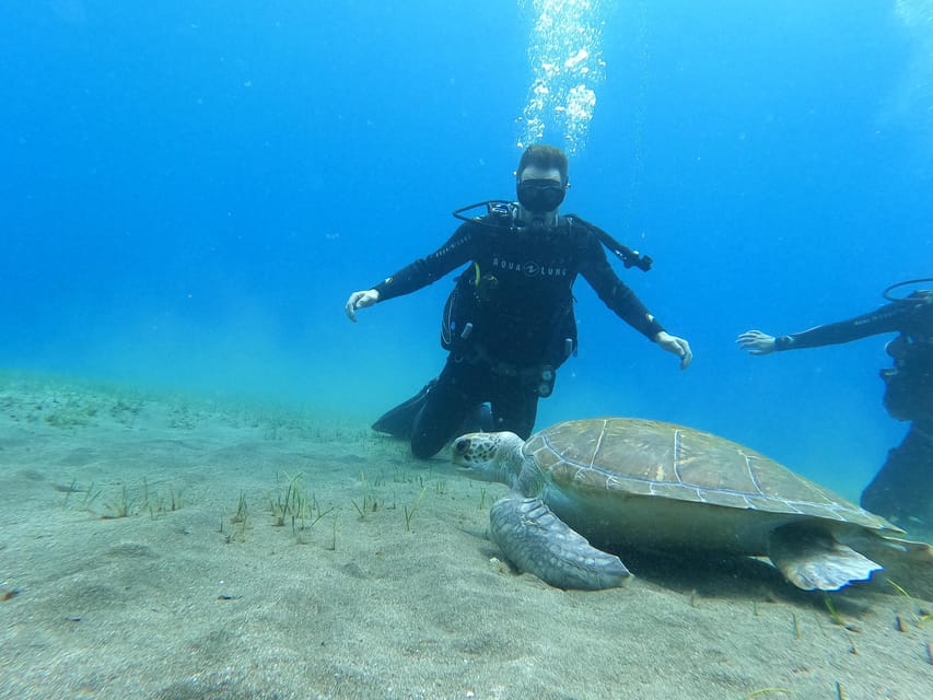 Tenerife south: Scuba Dive for beginners in Adeje - Key things to know before you go