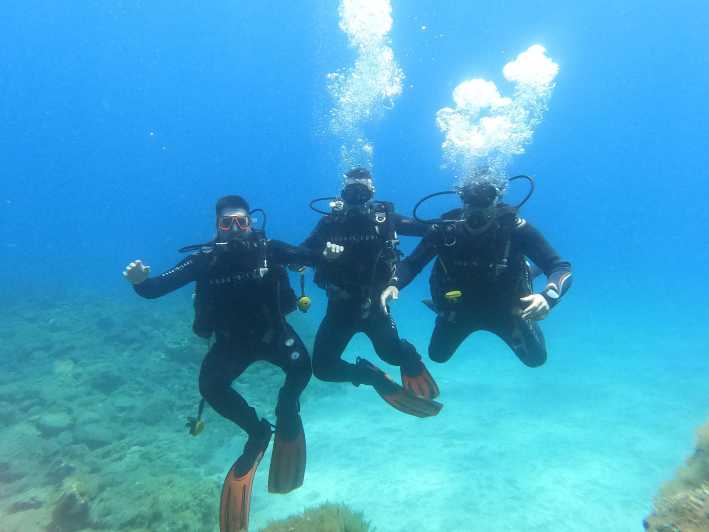 Tenerife south: Scuba Dive for beginners in Adeje - Adeje at 8:45: meeting point, coffee, and getting geared up