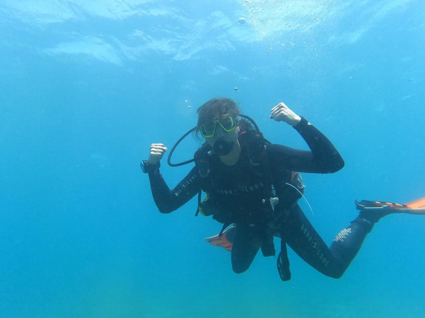 Tenerife south: Scuba Dive for beginners in Adeje - The morning flow: coffee, theory, transport, then back by 12:30