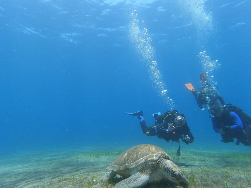 Tenerife south: Scuba Dive for beginners in Adeje - Who should book this beginner underwater session (and who shouldn’t)