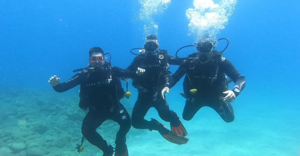 Tenerife south: Scuba Dive for beginners in Adeje - From surface to skills: the theory that actually helps