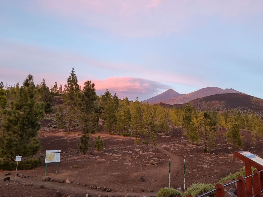 Tenerife: Sunset and Stargazing at Teide National Park - Logistics that matter: pickup zones, self-drive, and parking