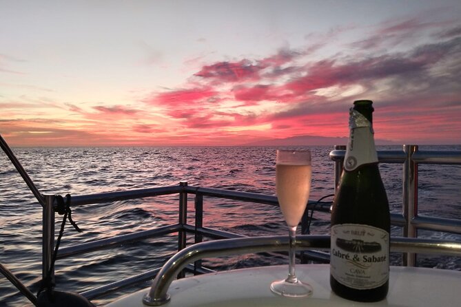 Tenerife Sunset Catamaran tour with transfer - Food and Drinks included. - The comfort checklist: warmth, towels, and sea-sickness reality