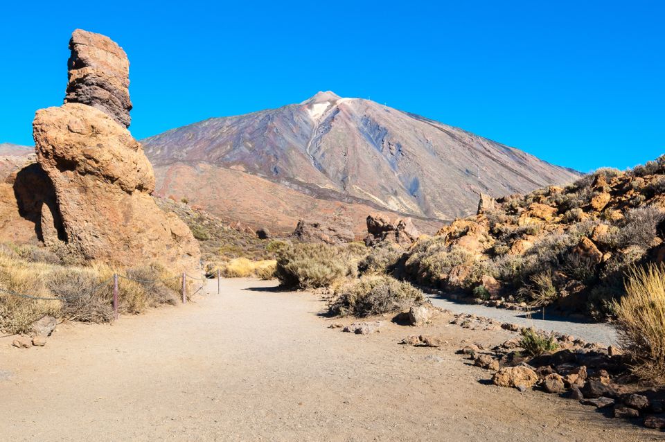 Tenerife: Teide and Las Cañadas Half-Day Tour - Key highlights that make this tour worth it