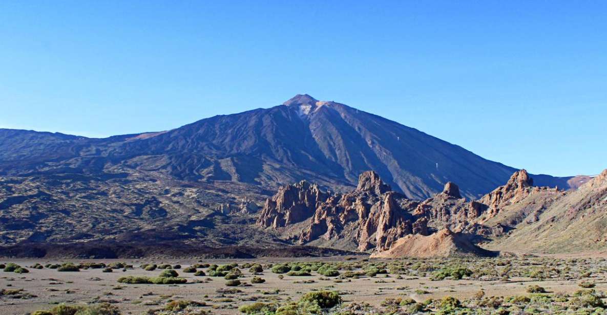 Tenerife: Teide and Las Cañadas Half-Day Tour - Teide National Park pine forests: where the scenery explains the science
