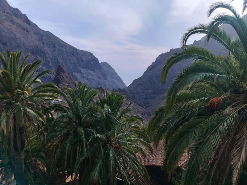 Tenerife: Teide, Masca, Garachico, and Sunset Exclusive Tour - Teide Sunset and the Champagne Moment
