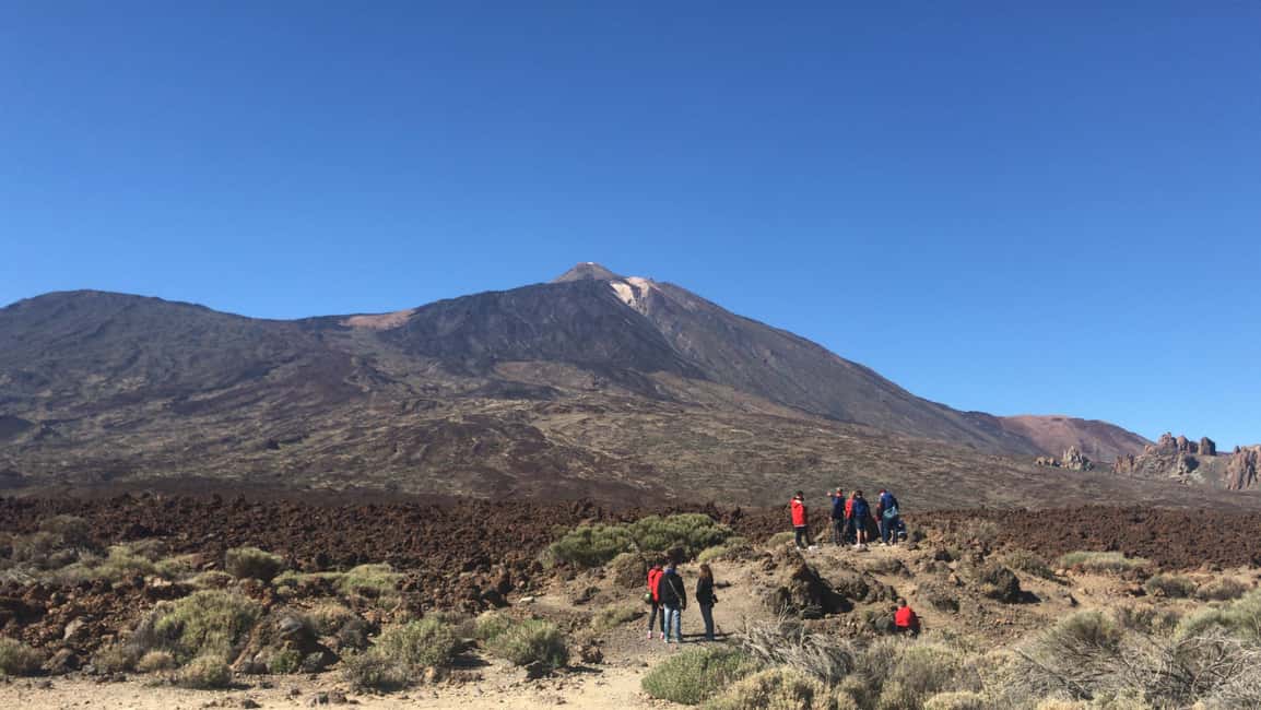 Tenerife: Teide National Park Buggy Tour with Hotel Transfer - Price and value: what you’re really paying for at about $203