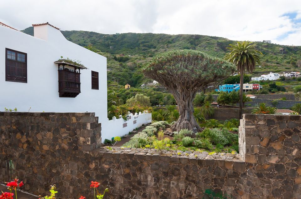 Tenerife: Teide National Park Full-Day Tour with Pickup - Teide and West Tenerife in one packed day