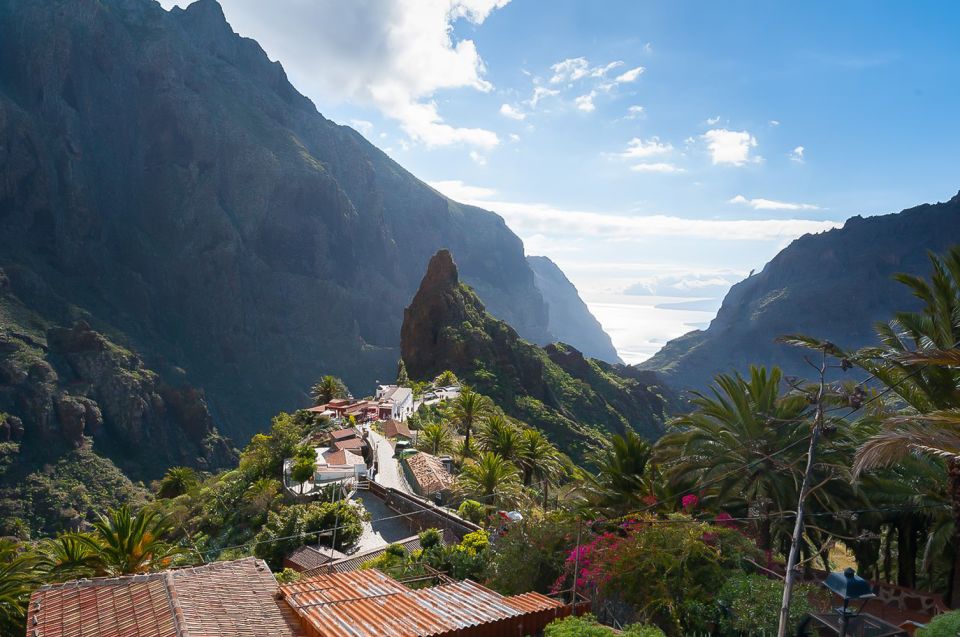 Tenerife: Teide National Park Full-Day Tour with Pickup - Price and value: is $66 a good deal?
