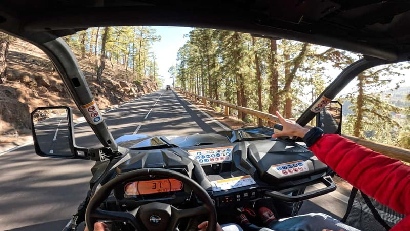 Tenerife: Teide National Park Guided Buggy Tour - The route to 2,200 meters: south Tenerife towns to Teide viewpoints