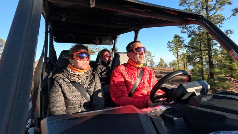 Tenerife: Teide National Park Guided Buggy Tour - Timing and pacing: 3.5 hours that still gives you real viewing time