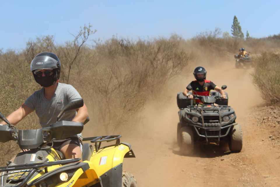 Tenerife: Teide National Park Quad Bike Tour - The Value Math: Is $57 a Good Deal?