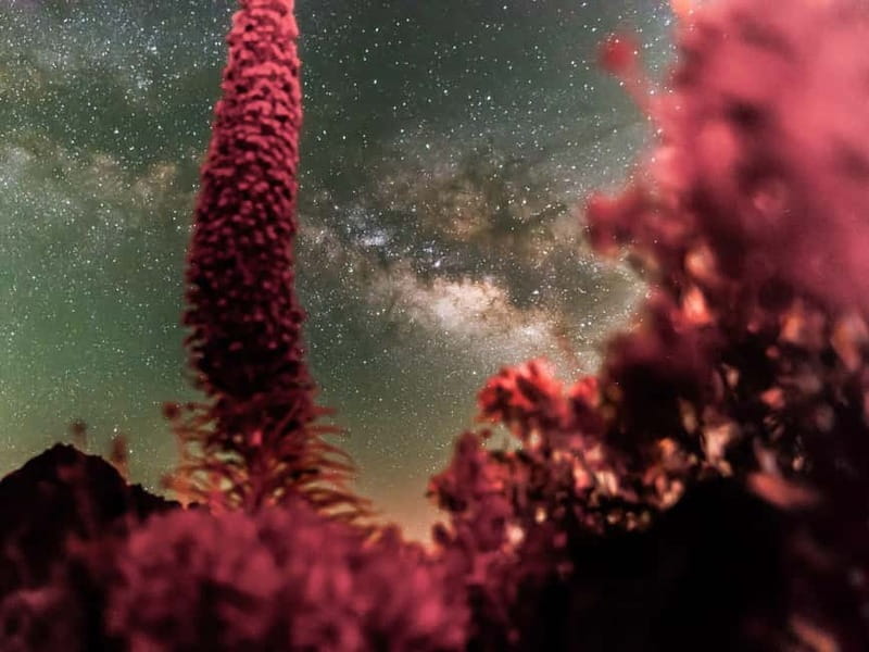 Tenerife: Teide Stargazing with an Astrophysicist - Price and Value: Is $47 Worth It?