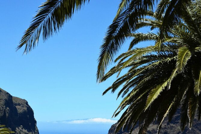 Tenerife Tour Mt. Teide and the Towns of Icod, Garachico, Masca - Masca Valley: iconic road scenery with a tight time slot
