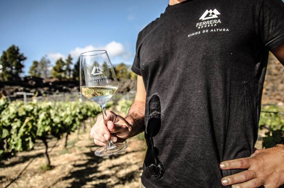 Tenerife: Tour of an Organic Vineyard with Tasting & Snacks - Key things to know before you go