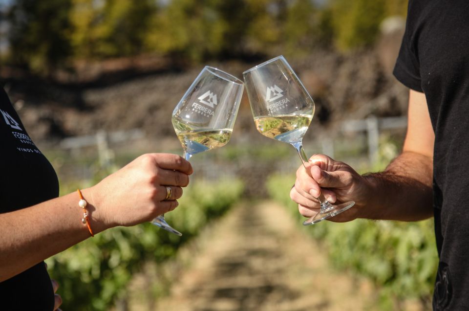 Tenerife: Tour of an Organic Vineyard with Tasting & Snacks - Views Over Güímar Valley: Why the Setting Helps You Taste Better