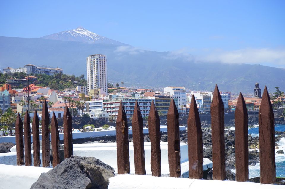 Tenerife: Trip to Puerto de la Cruz - Key points worth knowing