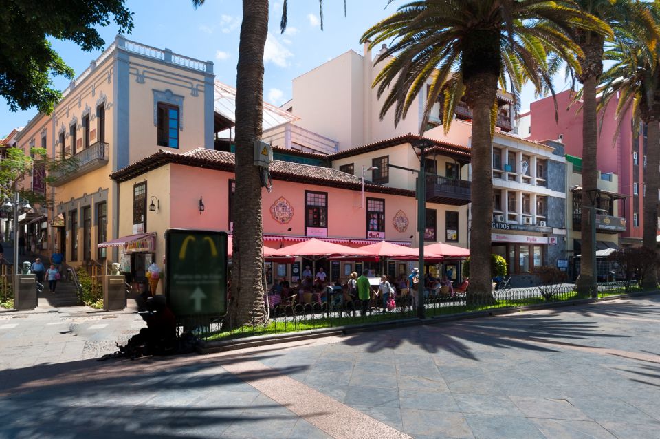 Tenerife: Trip to Puerto de la Cruz - Puerto de la Cruz: why the north side of Tenerife is worth your day